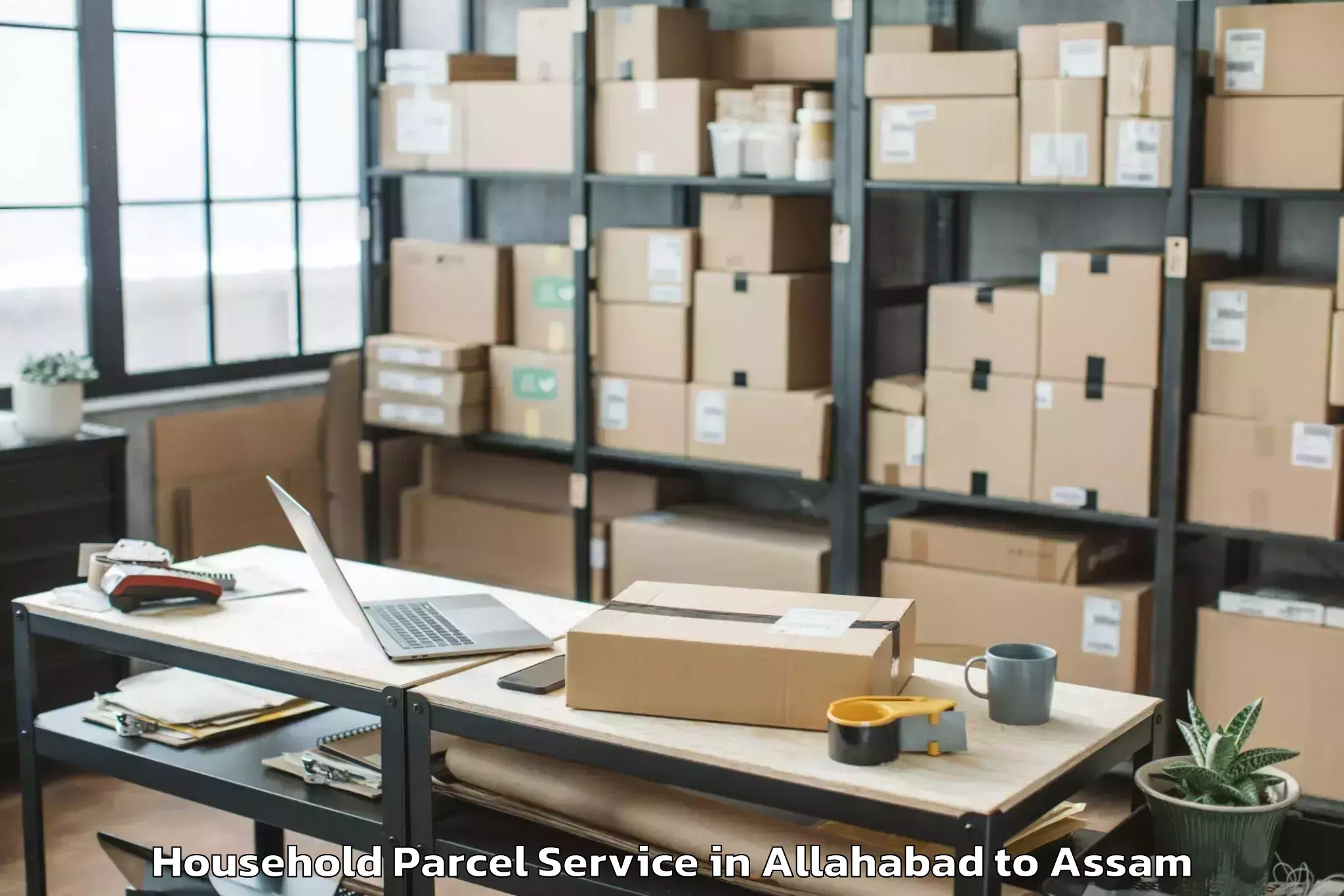 Affordable Allahabad to Hojai Household Parcel